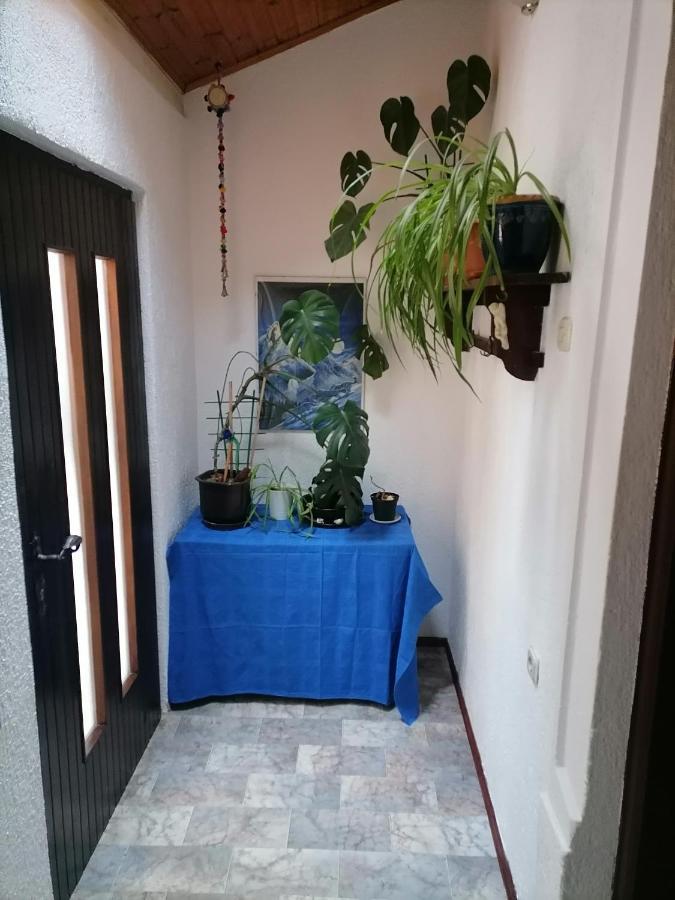 Apartman Zepina Pula Exterior foto
